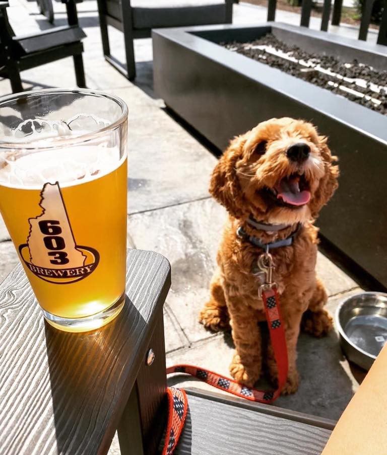 Breweries have a bone to pick
